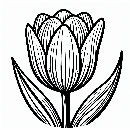 Tulpe-Ausmalbild-Malvorlage-Windows-Color-900.jpg