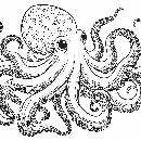 Riesenkrake-Krake-Malvorlage-Oktopus-Ausmalbild-Window-color-527.jpg