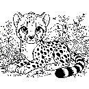 Gepard-Malvorlage-Ausmalbild-038.jpg