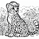 Gepard-Malvorlage-Ausmalbild-673.jpg