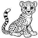 Gepard-Malvorlage-Ausmalbild-834.jpg