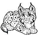 Luchs-Malvorlage-Ausmalbild-Lux-170.jpg