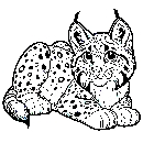 Luchs-Malvorlage-Ausmalbild-Lux-170.jpg