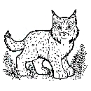 Luchs-Malvorlage-Ausmalbild-Lux-197.jpg