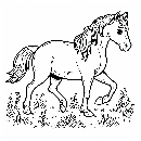 Pferd-Ausmalbild-Malvorlage-Windows-Color-366.jpg
