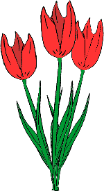 windows color ausmalbild 3 tulpen